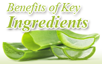 Natural Ingredients Dictionary by Aubrey Hampton