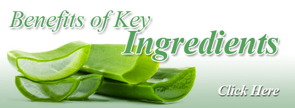 Natural Ingredients Dictionary by Aubrey Hampton