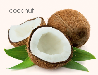 Coconut