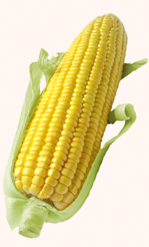 Corn