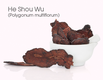 He Shou Wu