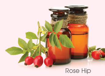 Rose Hip Seed Oil