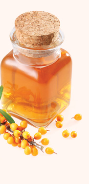 Sea Buckthorn