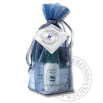 Travel a Gogo for Combination Oily Skin